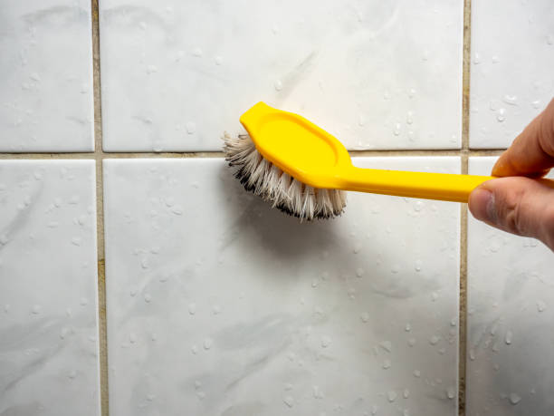 Office Mold Removal Services in Port Washington, WI