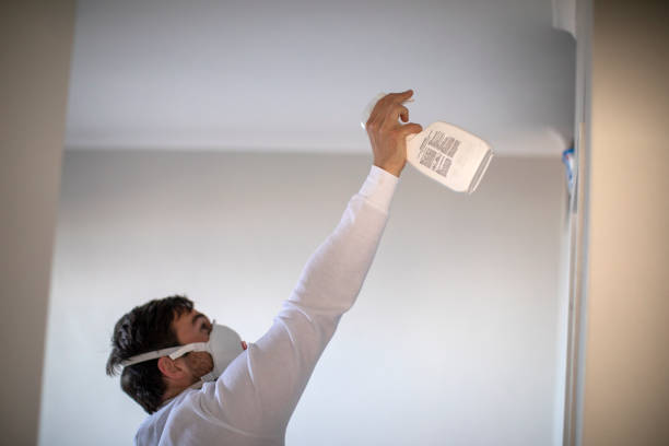 Best Mold Remediation Experts  in Port Washington, WI