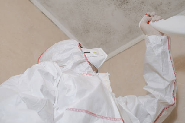 Best Water Damage Restoration  in Port Washington, WI